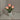 47855598207280|47855598403888