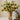 Fantastic Vases